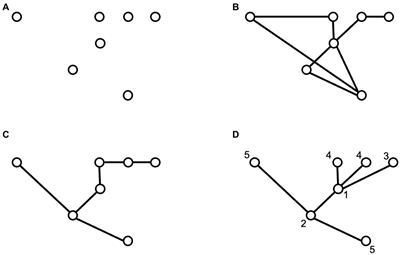 Disentangling the spread dynamics of insect invasions using spatial networks